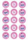 Hootabelle Cupcake Images